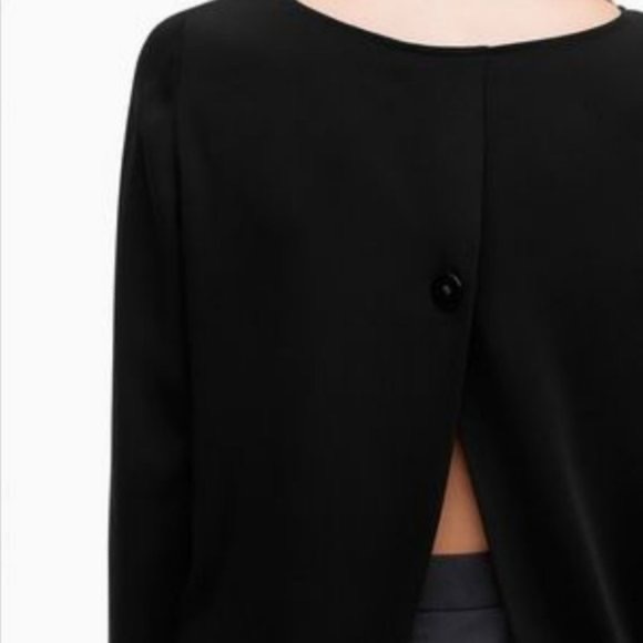 Aritzia Babaton Koons Blouse - Picture 2 of 5